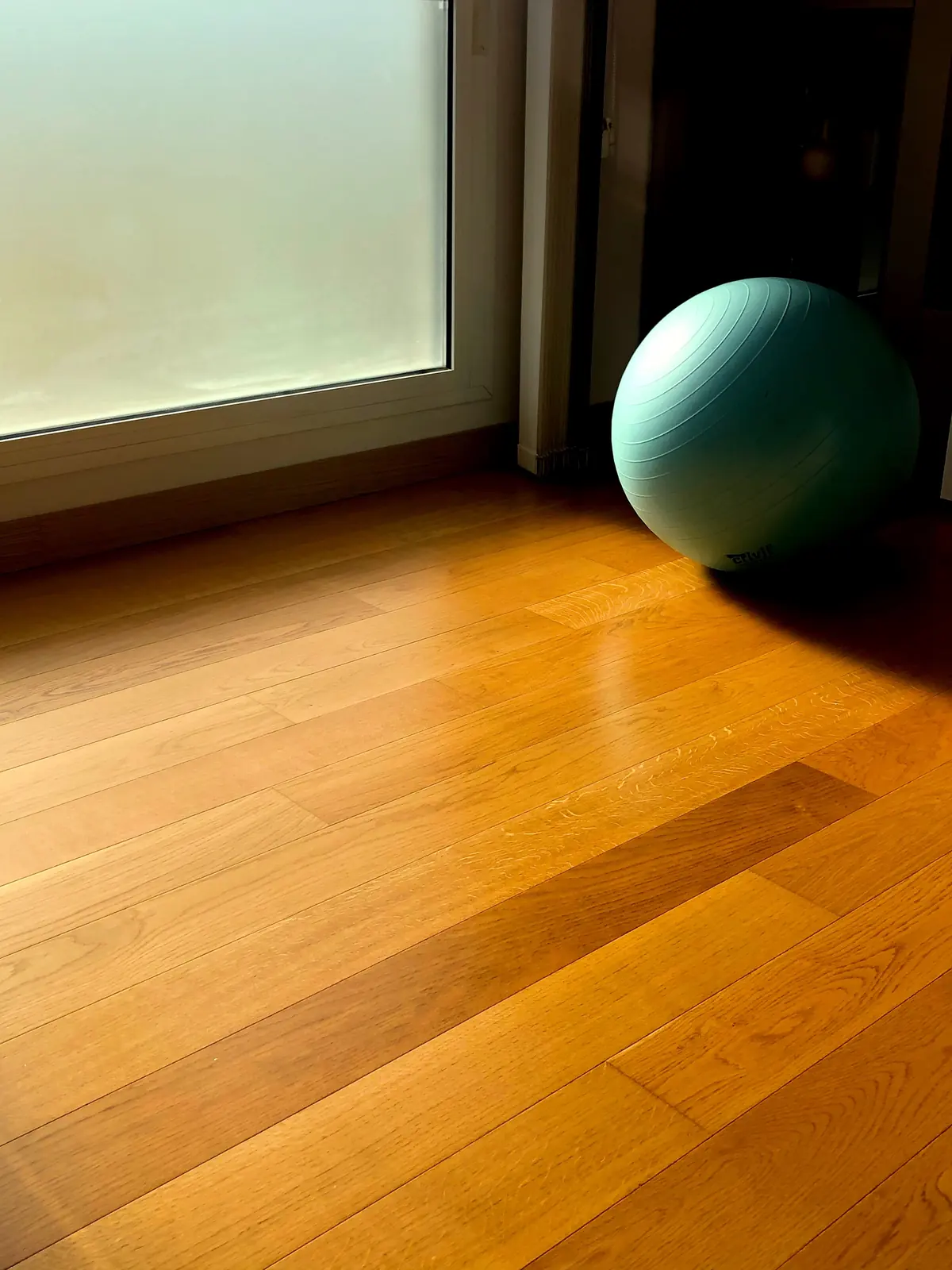 Sunlight across golden oak boards